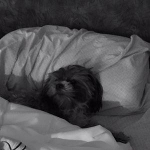 Meet your Posher, Fran